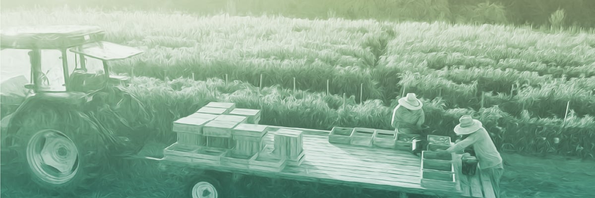 Blog Feature_1200x400_DOL Announces New Skill Based H-2A Wage System for Ag Workers