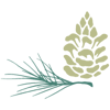 CP_Pinecone Only_Color-200