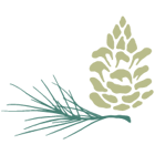 CP_Pinecone Only_Color-200