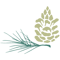 CP_Pinecone Only_Color-200