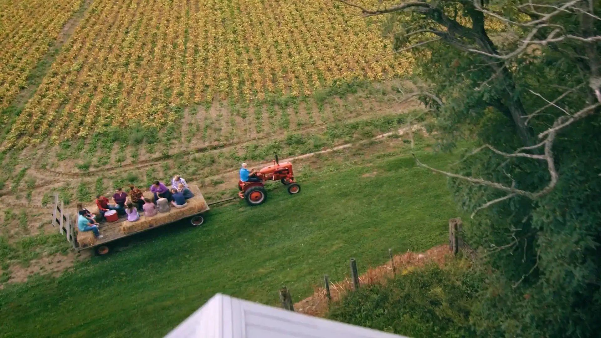 sales executive job farm
