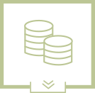 CP_Minimum Wage_ICON