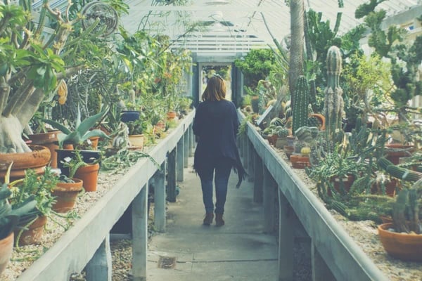 mail employee paychecks plants