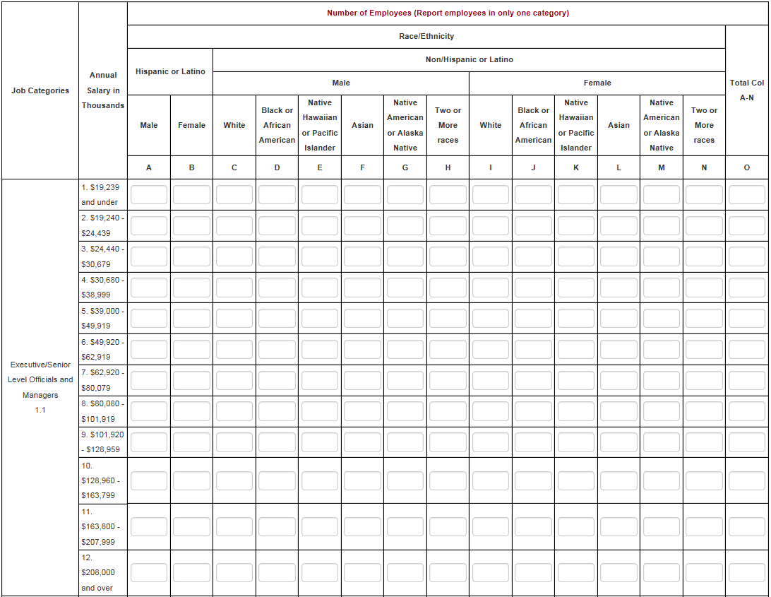 EEO1 Reports An Employer's Guide Complete Payroll