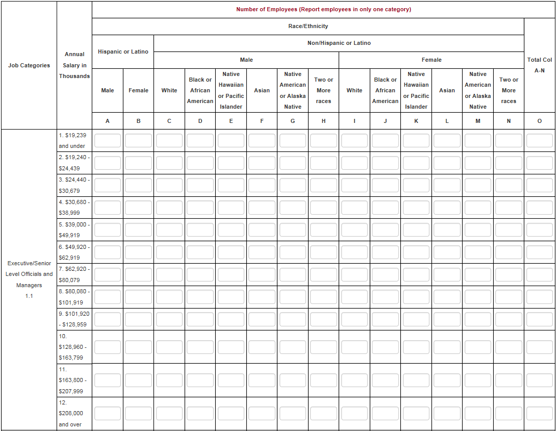 EEO1 Reports An Employer's Guide Complete Payroll EEO1 Reports An Employer's Guide Complete Payroll