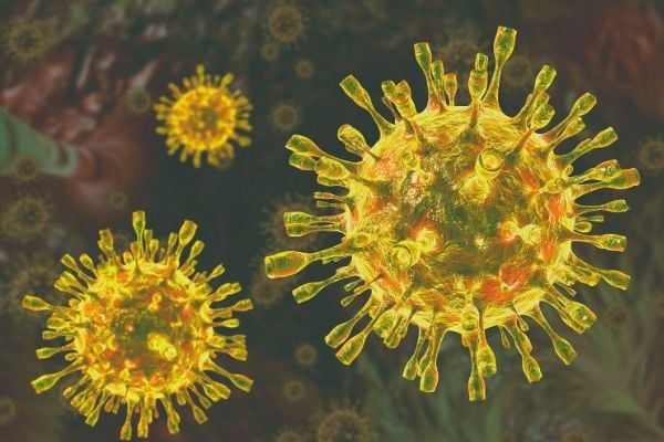 EEOC Guidance for Employers During a Pandemic - Complete Payroll