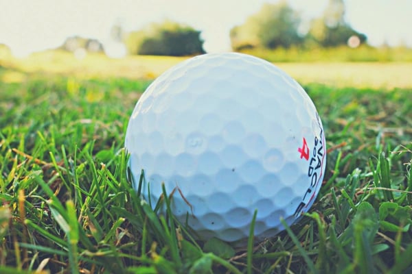 pga golfer earnings golf ball