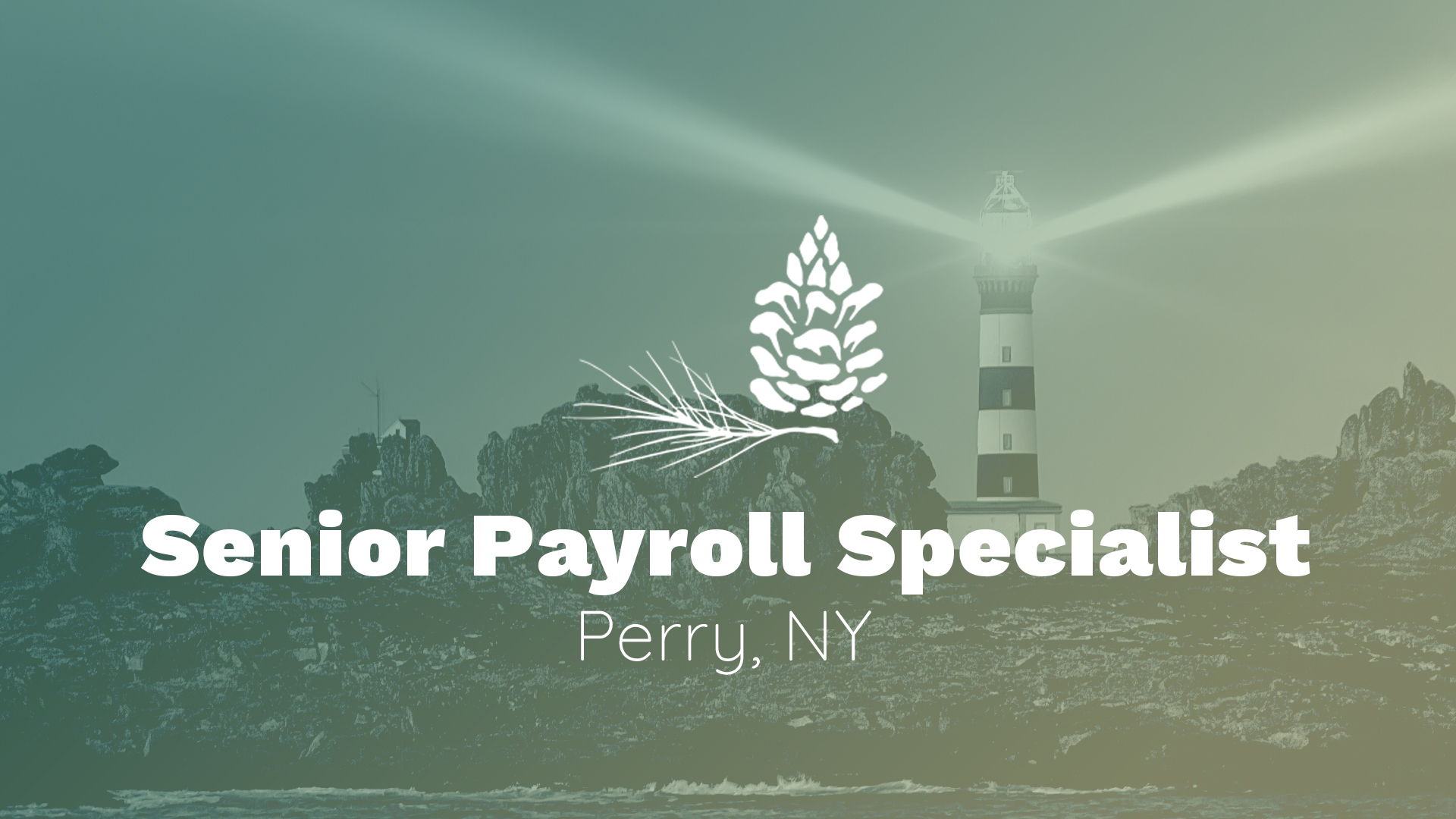 Website_Hero Banner_1920x1080_Senior Payroll Specialist_Color