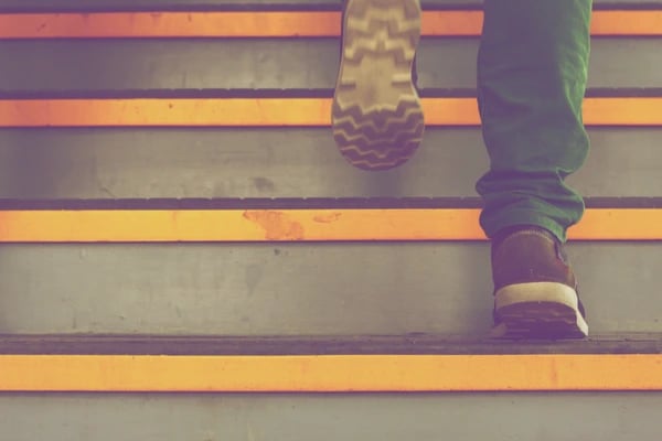 employee background check toolkit stairs