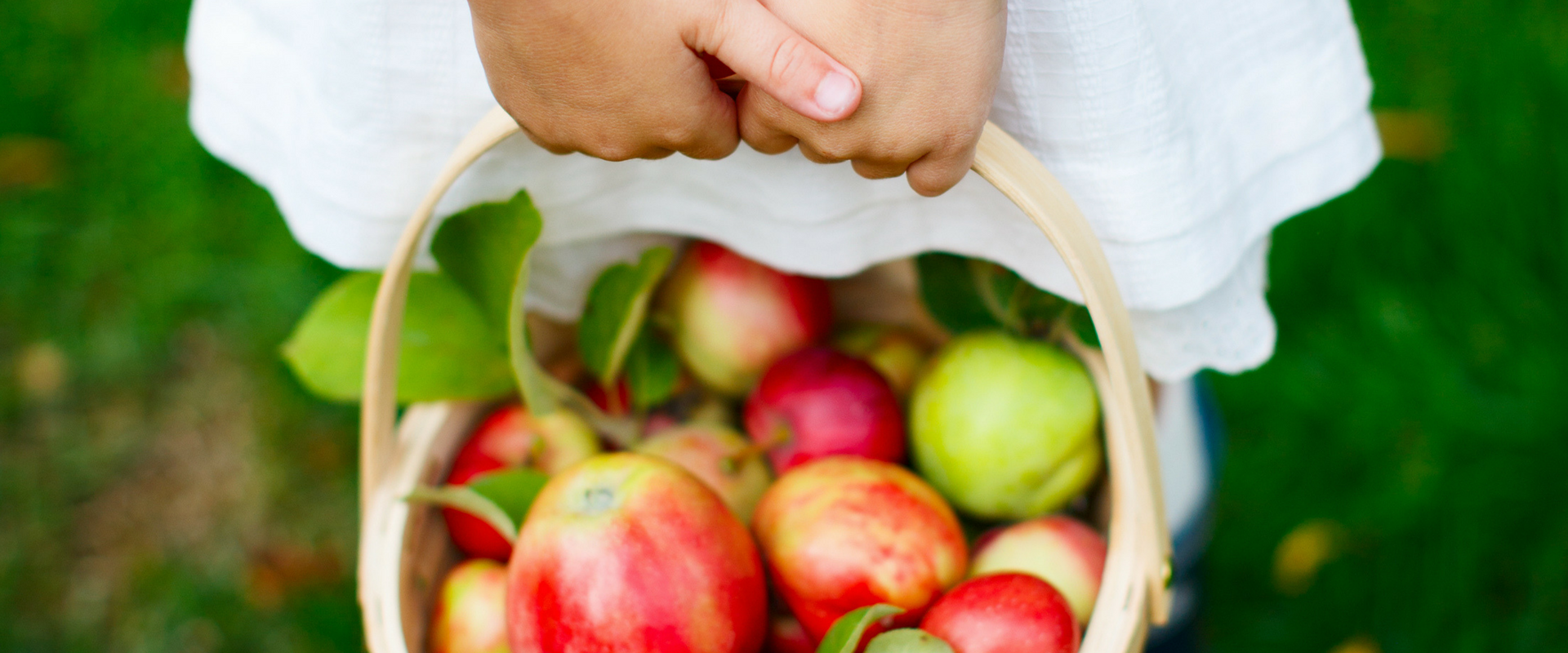 apples.png