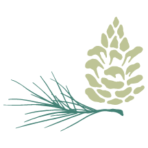 CP_Pinecone Only_72ppi