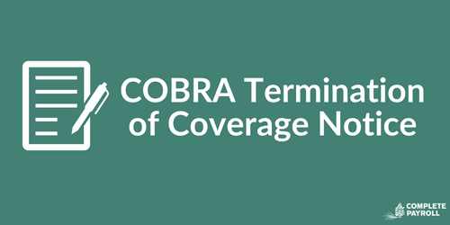cobra employee termination kit