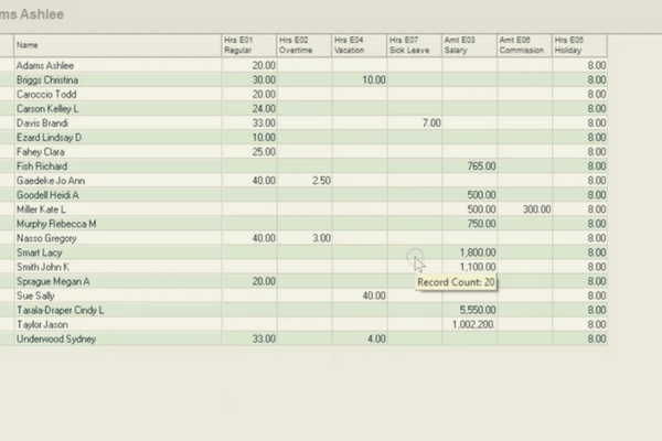 Payroll Verification in Evolution Classic